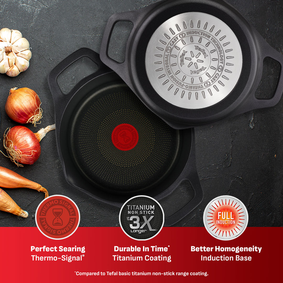 Tefal Robusto Stewpot 20cm