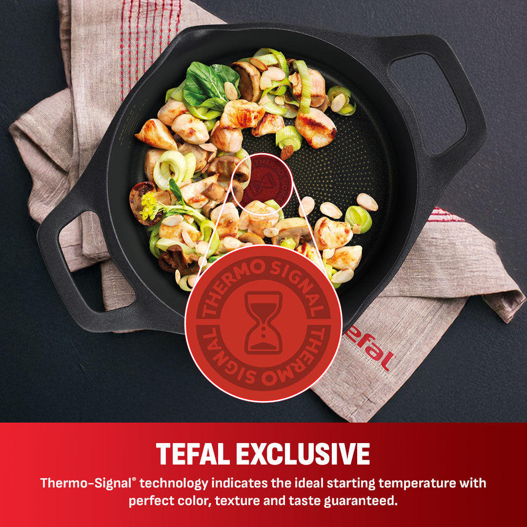 Tefal Robusto Stewpot 20cm