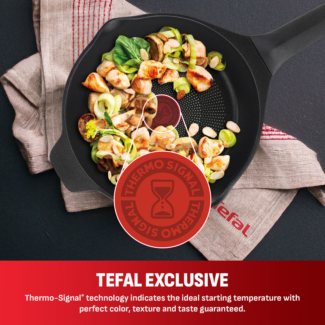 Tefal Robusto Frypan 20cm