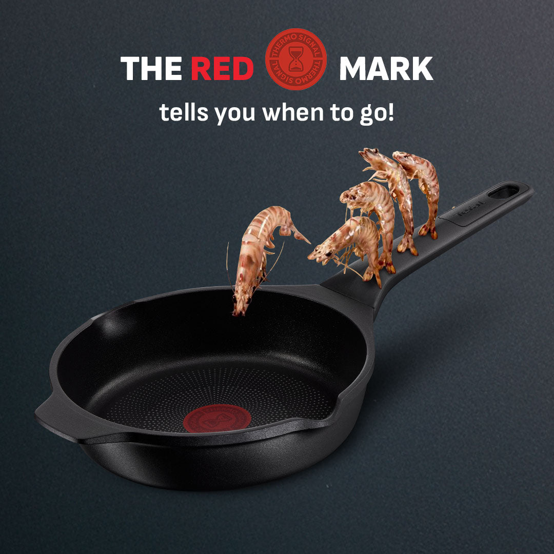 Tefal Robusto Frypan 20cm