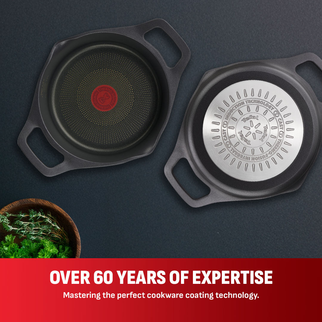 Tefal Robusto Stewpot 20cm