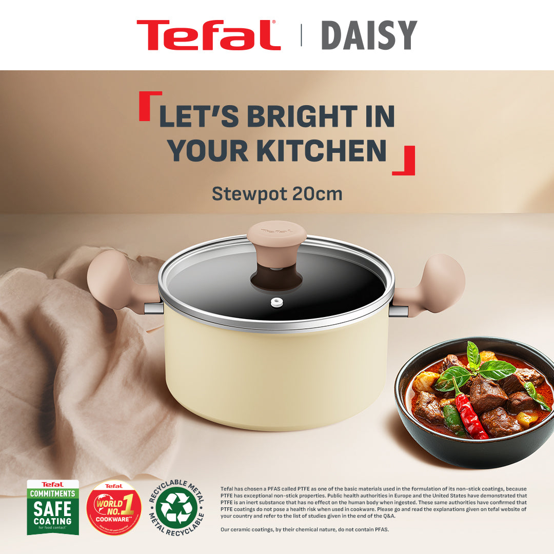 Tefal Cookware Daisy Stewpot 20cm