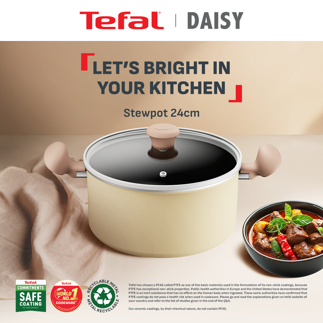 Tefal Cookware Daisy Stewpot 24cm