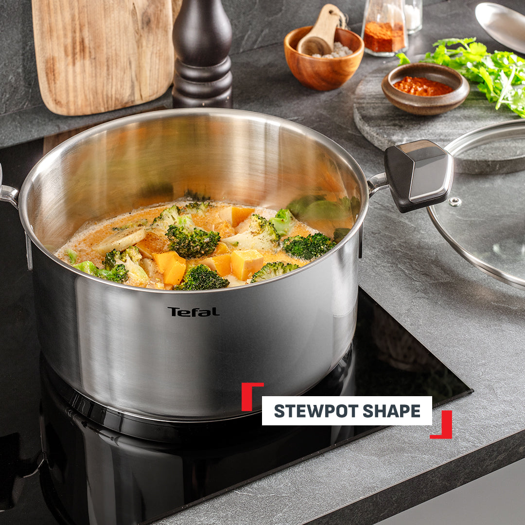 Tefal Emotion Plus Stewpot 24cm w/Lid (Stainless Steel)