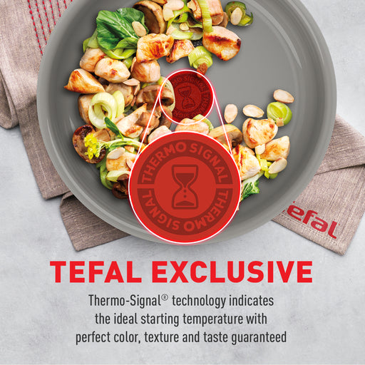 Tefal Revive Frypan 24 cm
