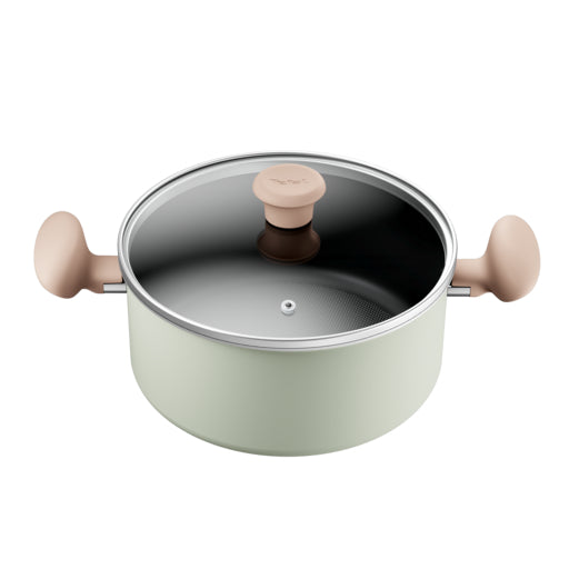 Tefal So Matcha Stewpot 24 cm
