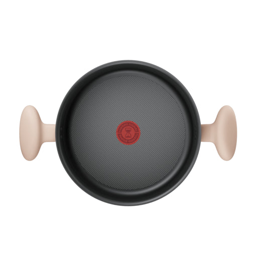 Tefal So Matcha Stewpot 24 cm