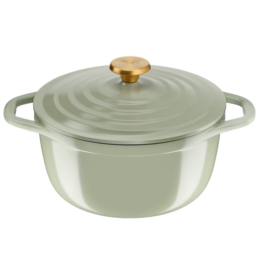 Tefal Air Stewpot 24cm W/Lid (Lichen)