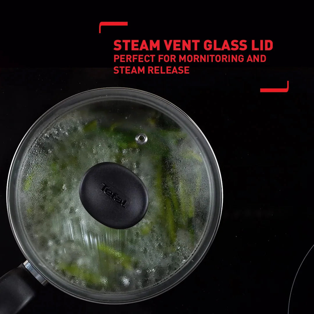 Tefal Primary Stewpot with lid 24cm
